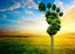 10 acciones cotidianas para reducir tu huella de carbono