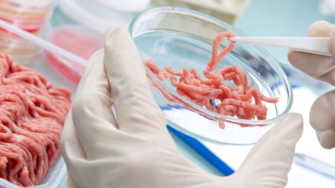 Carne Cultivada: ¿Solución Ética o Distracción Tecno-Optimista?